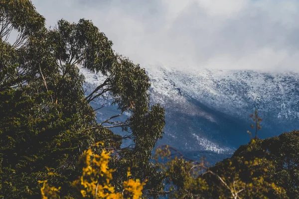 Sníh Vrcholcích Hor Mraky Valící Přes Hustou Vegetaci Tasmánii Austrálie — Stock fotografie