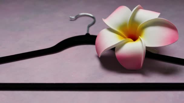 Çevreye Duyarlı Giyim Markaları Yanında Tropikal Frangipani Çiçekleri Olan Pembe — Stok video