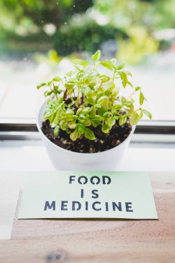 Yemek, fesleğen bitkisinin yanındaki yemek masasındaki tıp metni, sağlıklı beslenme ve sezgisel yeme karşı diyet kavramı.