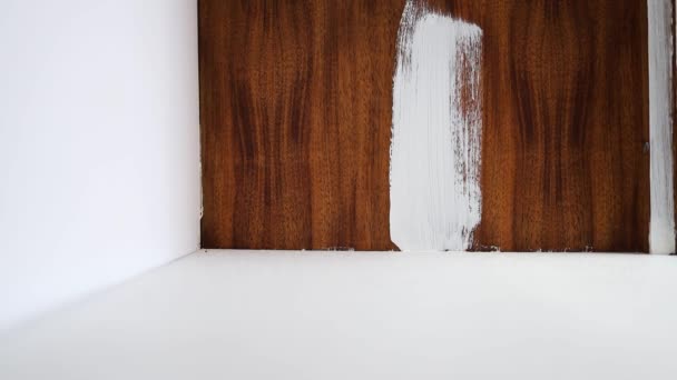 Pintura Interior Armario Madera Oscura Blanco Con Pincel Concepto Bricolaje — Vídeos de Stock