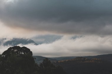 Dağlardan yuvarlanan fırtınalı bulutlar ve Tazmanya, Avustralya 'da kışın çekilen yoğun bitki örtüsü