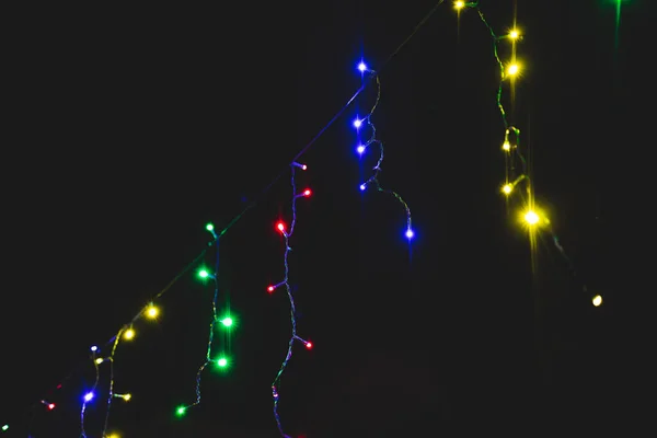 Colorido Natal Fadas Luzes Livre Pendurado Fora Árvores Quintal Noite — Fotografia de Stock