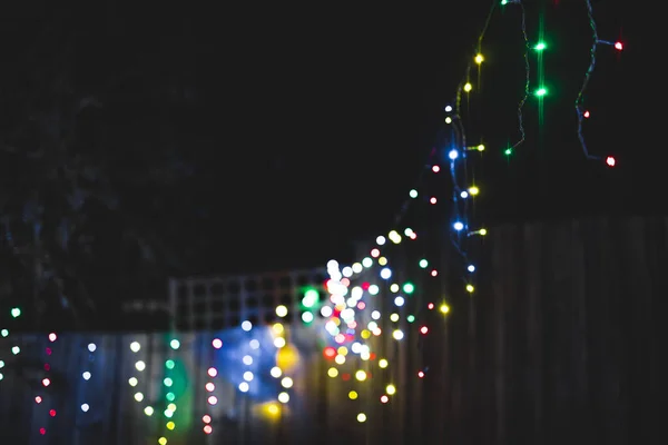 Lumières Fée Noël Colorées Suspendues Extérieur Des Arbres Dans Cour — Photo