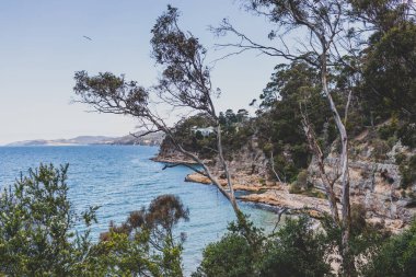 pristine little beach surrounded by rocky cliffs with turquoise water from the Pacific Ocean, seen along the Boronia Beach coastal walk in Tasmania, Australia