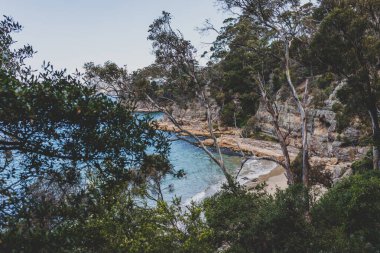 pristine little beach surrounded by rocky cliffs with turquoise water from the Pacific Ocean, seen along the Boronia Beach coastal walk in Tasmania, Australia