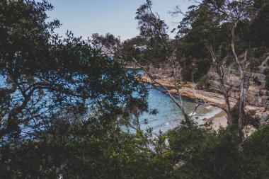 pristine little beach surrounded by rocky cliffs with turquoise water from the Pacific Ocean, seen along the Boronia Beach coastal walk in Tasmania, Australia
