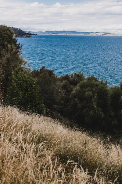 View Pacific Ocean Boronia Beach Coastal Walk Tasmania Australia — Stok Foto