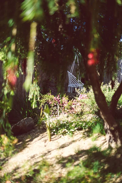 Idyllic Sunny Backyard Lots Tropical Australian Native Plants Flag Shot — Stock Photo, Image
