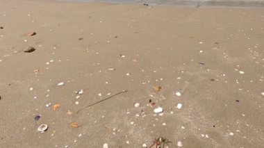 Sahilde terk edilmiş tek kullanımlık cerrahi maske kısmen sahile yakın kumla kaplı, covid-10 salgın hastalıkları ve çöp sorunları kavramı