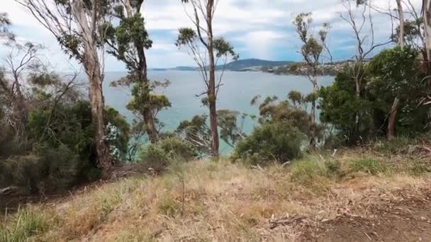 Vacker Natur Stilla Havet Och Tjock Inhemsk Vegetation Skott Från — Stockvideo