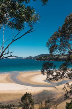 Pasifik Okyanusu 'nun güzel manzarası ve Alum Kayalıkları boyunca Güney Tazmanya' da bir yürüyüş sırasında geniş bir noktadan çekilmiş yerel bitki örtüsü.