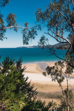 Pasifik Okyanusu 'nun güzel manzarası ve Alum Kayalıkları boyunca Güney Tazmanya' da bir yürüyüş sırasında geniş bir noktadan çekilmiş yerel bitki örtüsü.
