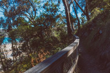 Pasifik Okyanusu 'nun güzel manzarası ve Alum Kayalıkları boyunca Güney Tazmanya' da bir yürüyüş sırasında geniş bir noktadan çekilmiş yerel bitki örtüsü.