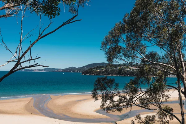 Beautiful Scenary Pacific Ocean Thick Native Vegetation Shot Vantage Point — Stock Photo, Image