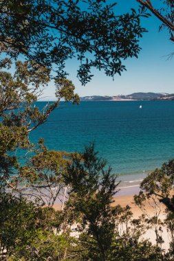 Pasifik Okyanusu 'nun güzel manzarası ve Alum Kayalıkları boyunca Güney Tazmanya' da bir yürüyüş sırasında geniş bir noktadan çekilmiş yerel bitki örtüsü.