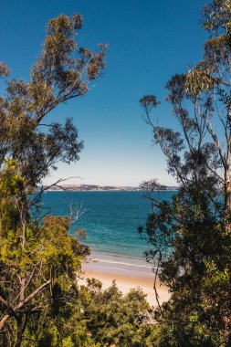 Pasifik Okyanusu 'nun güzel manzarası ve Alum Kayalıkları boyunca Güney Tazmanya' da bir yürüyüş sırasında geniş bir noktadan çekilmiş yerel bitki örtüsü.