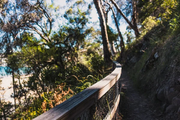 Красивый Пейзаж Австралийского Куста Густой Местной Растительности Снятый Наблюдательной Точки — стоковое фото