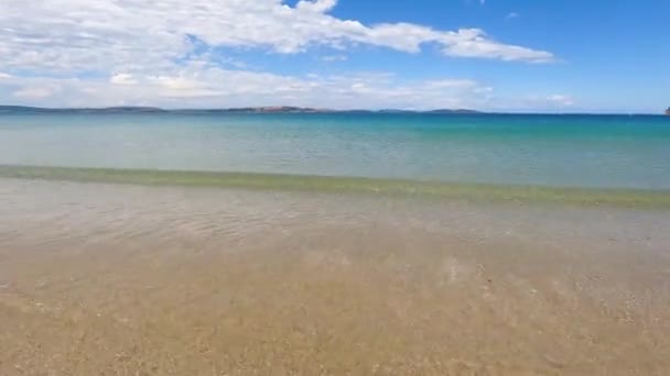 Pristine Beach Southern Tasmania Turquoise Water Pacific Ocean Golden Sand — Stock Video