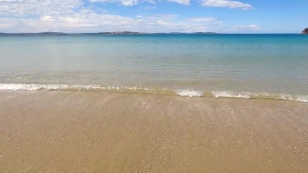 Praia Intocada Sul Tasmânia Com Água Azul Turquesa Oceano Pacífico — Vídeo de Stock