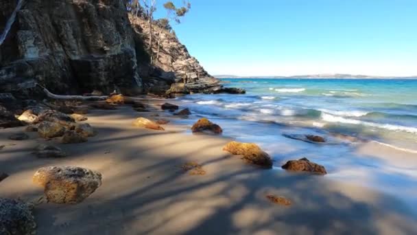 Hermoso Paisaje Playa Australiana Vegetación Nativa Gruesa Disparado Desde Kington — Vídeos de Stock