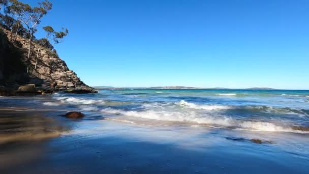 Bellissimo Scenario Spiaggia Australiana Fitta Vegetazione Nativa Girato Kington Beach — Video Stock