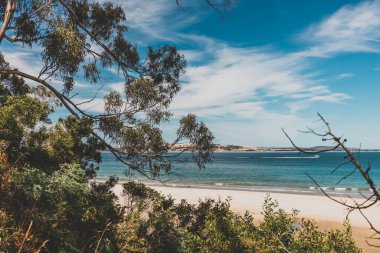 Pasifik Okyanusu 'nun güzel manzarası ve Kingston Sahili' nde Güney Tazmanya 'da bir yürüyüş sırasında geniş bir noktadan çekilmiş yerel bitki örtüsü.