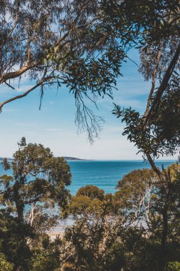 Pasifik Okyanusu 'nun güzel manzarası ve Kingston Sahili' nde Güney Tazmanya 'da bir yürüyüş sırasında geniş bir noktadan çekilmiş yerel bitki örtüsü.