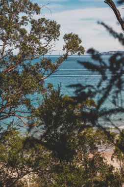 Pasifik Okyanusu 'nun güzel manzarası ve Kingston Sahili' nde Güney Tazmanya 'da bir yürüyüş sırasında geniş bir noktadan çekilmiş yerel bitki örtüsü.