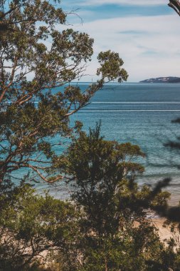 Pasifik Okyanusu 'nun güzel manzarası ve Kingston Sahili' nde Güney Tazmanya 'da bir yürüyüş sırasında geniş bir noktadan çekilmiş yerel bitki örtüsü.