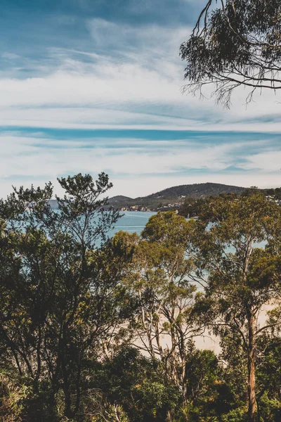 Wunderschöne Landschaft Des Pazifischen Ozeans Und Dichte Einheimische Vegetation Aufgenommen — Stockfoto