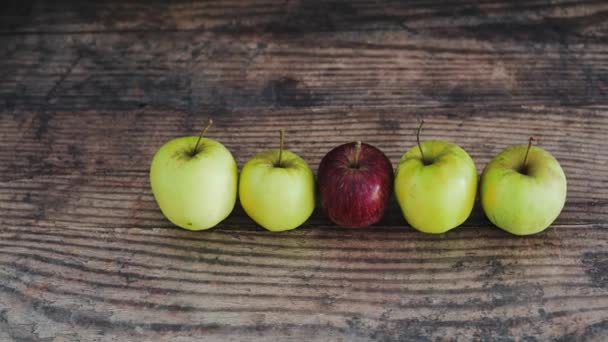 Grupa Zielonych Jabłek Jednym Czerwonym Jabłkiem Środku Koncepcja Zdrowej Żywności — Wideo stockowe