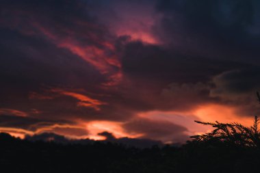 Pembe ve mor tonlu günbatımı dağların üzerinde ve okaliptüs ağaçları siluetleri, sıcak bir sonbahar gününde Tazmanya 'da çekilen