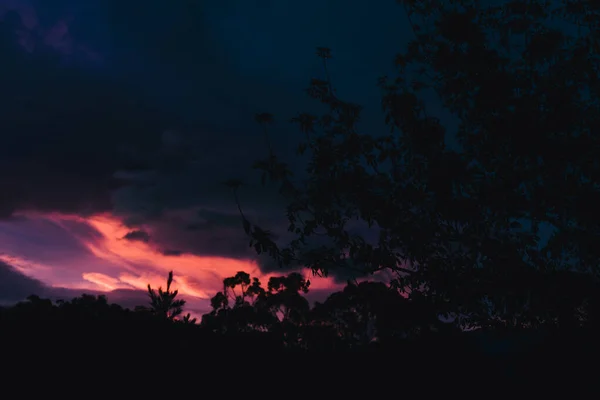 Pôr Sol Rosa Roxo Tonificado Sobre Montanhas Eucalipto Goma Árvores — Fotografia de Stock