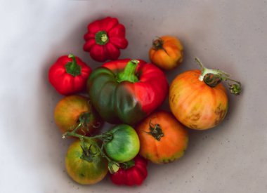 Meyve kâsesinde taze toplanmış dolmalık biber ve farklı renklerde domatesler. Basit, sağlıklı malzemeler kavramı.