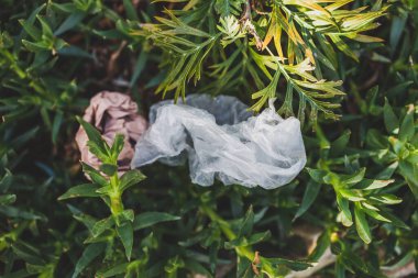 Plastik torbalar ve çöpler doğada terk edilmiş güzel bitkiler arasında, çevreye saygı duyma ve tek kullanımlık plastikten kaçınma kavramı