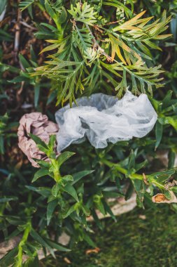 Plastik torbalar ve çöpler doğada terk edilmiş güzel bitkiler arasında, çevreye saygı duyma ve tek kullanımlık plastikten kaçınma kavramı