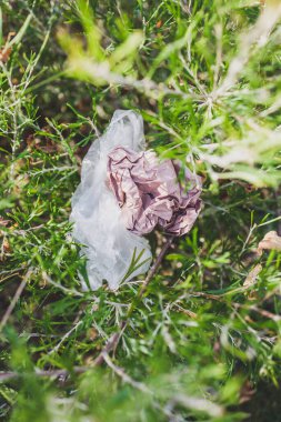 Plastik torbalar ve çöpler doğada terk edilmiş güzel bitkiler arasında, çevreye saygı duyma ve tek kullanımlık plastikten kaçınma kavramı