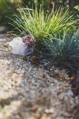 Plastik torbalar ve çöpler doğada terk edilmiş güzel bitkiler arasında, çevreye saygı duyma ve tek kullanımlık plastikten kaçınma kavramı