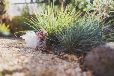 Plastik torbalar ve çöpler doğada terk edilmiş güzel bitkiler arasında, çevreye saygı duyma ve tek kullanımlık plastikten kaçınma kavramı