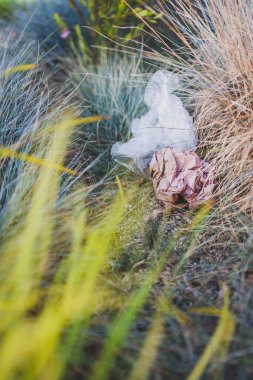 Plastik torbalar ve çöpler doğada terk edilmiş güzel bitkiler arasında, çevreye saygı duyma ve tek kullanımlık plastikten kaçınma kavramı