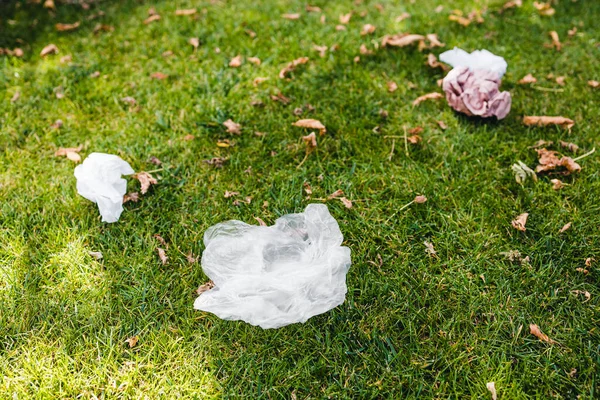 Plastik torbalar ve çöpler yeşil çimlerde terk edilmiş, çevreye saygı duyma ve tek kullanımlık plastikten kaçınma kavramı