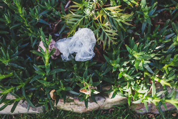 Plastik torbalar ve çöpler doğada terk edilmiş güzel bitkiler arasında, çevreye saygı duyma ve tek kullanımlık plastikten kaçınma kavramı