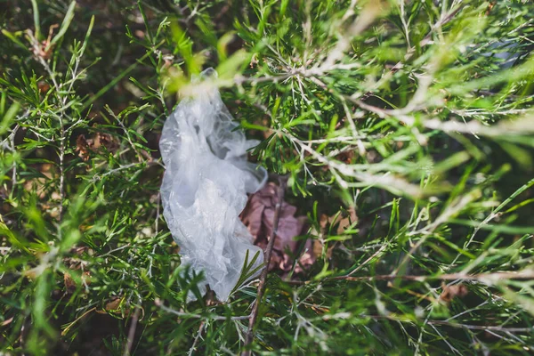 Plastik Torbalar Çöpler Doğada Terk Edilmiş Güzel Bitkiler Arasında Çevreye — Stok fotoğraf