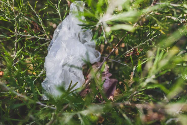 Plastik torbalar ve çöpler doğada terk edilmiş güzel bitkiler arasında, çevreye saygı duyma ve tek kullanımlık plastikten kaçınma kavramı