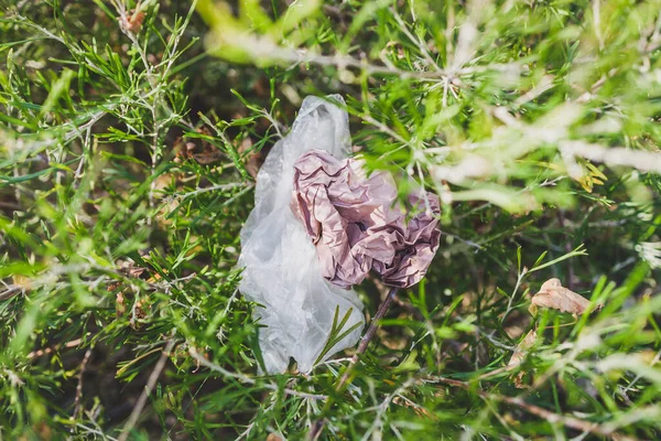 Plastik torbalar ve çöpler doğada terk edilmiş güzel bitkiler arasında, çevreye saygı duyma ve tek kullanımlık plastikten kaçınma kavramı