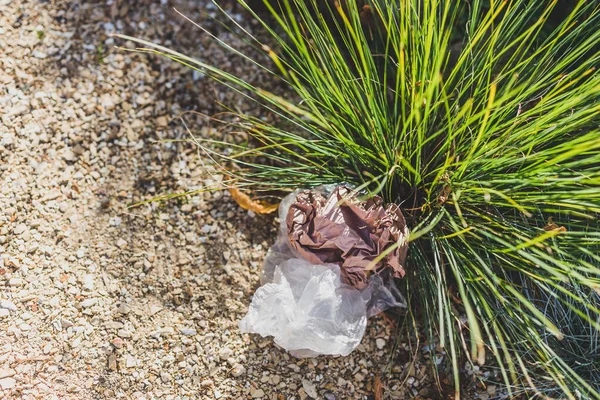 Bolsas Plástico Basura Abandonadas Naturaleza Entre Hermosas Plantas Concepto Respetar — Foto de Stock