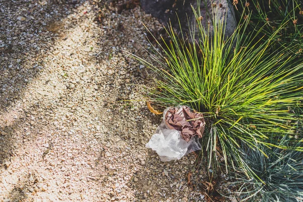 Plastik torbalar ve çöpler doğada terk edilmiş güzel bitkiler arasında, çevreye saygı duyma ve tek kullanımlık plastikten kaçınma kavramı