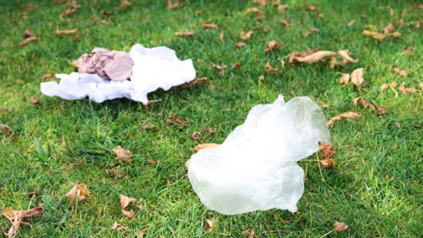 Handgrepen Plastic Zakken Wikkels Van Groen Gazon Een Park Concept — Stockvideo