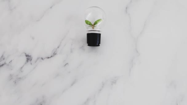 Ideas Sustainability Environment Lightbulb Perfect Green Shaped Leaves Growing — Stock Video