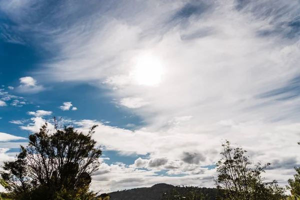 冬にオーストラリアのタスマニアで撮影された美しい空と雲に覆われた厚い植生に覆われた木々や丘 — ストック写真